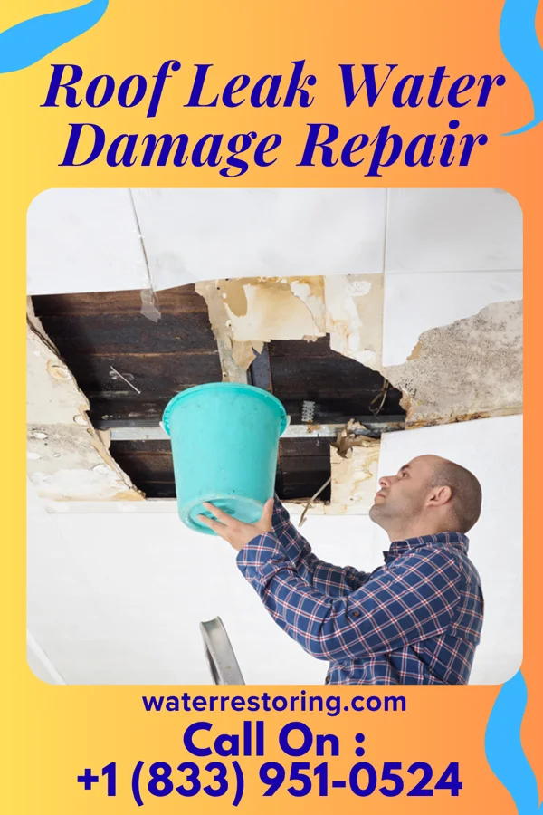 Roof Leak Water Damage Repair in Boronda, CA